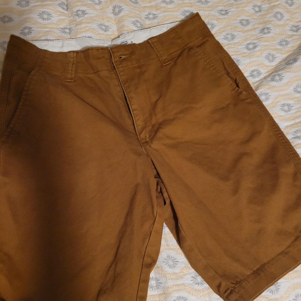 Brown short size 28 old navy